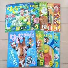 キケン! はっけん 全12冊セット　一年分　付録付き　+　おまけ付き 2025年最新】はてなはっけんブックの人気アイテム - メルカリ