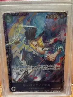キャベンディッシュ　CS PSA10