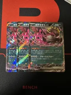 キチキギスex ②