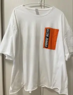 ZUMBA ズンバ　Tシャツ　正規品　XL 白　美品