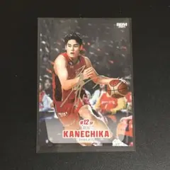 Item thumbnail for item 276cb7cd-3940-40cc-8022-c0e1f6db80b8