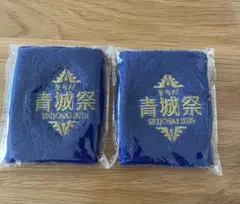 青城祭 2025 2個セット