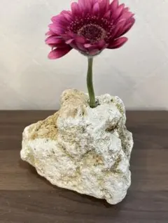 天然琉球石灰岩の一輪挿し