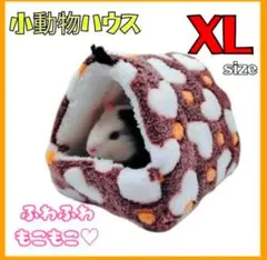 Item thumbnail for item 42ded120-df6d-4256-b943-fe56f09cc0ca