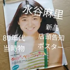 水谷麻里マガジン 写真集 ポスター 香港 夜景 水着 コンサート
