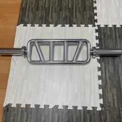 アイロテックトライセプスバー