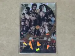 RIZIN ポテトスティック ポスターカードコレクション No.21