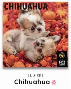 チワワ　2025年ビクトワンカレンダー　シール付き