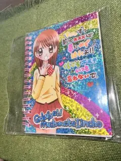 めちゃモテ委員長　シール帳　ちゃお　付録