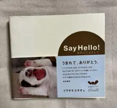 Say Hello! あのこによろしく　イワサキユキオ　ほぼ日ブックス