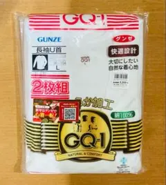 新品　Tシャツ 2枚組 Lサイズ