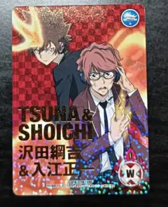 家庭教室ヒットマンREBORN!　CCG　沢田綱吉&入江正一　009/11 R