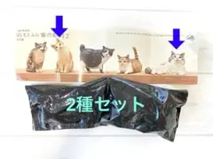 はしもとみお 猫の彫刻２　2種セット⑤ ガチャ 新品
