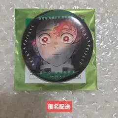 劇場版 鬼滅の刃 無限城編 ものがたる眼差し 缶バッジ A　竈門炭治郎