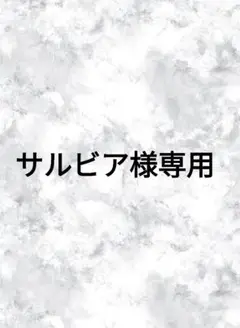 PUMA グレー ハーフパンツ
