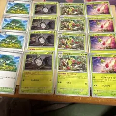即日発送ポケモン美品活力の森　チャデス　パチンキー　シェイミ計16枚