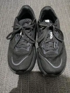 HOKA RINCON 4 WIDE リンコン4 ワイド 25cm