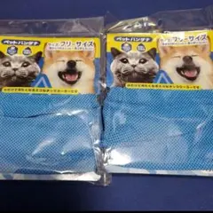 Item thumbnail for item 716961a3-20f1-4410-a913-d7d9db164022