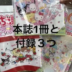いちご新聞　なかよしbag 最新号　バッグ　no.691 サンリオ