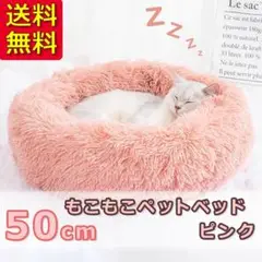Item thumbnail for item 54277ad3-77b9-47ce-ac3d-e8f1f1bff5d1