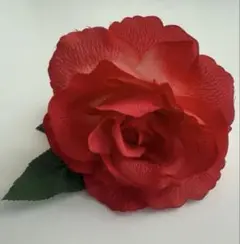 フラメンコ　フローレス　バラ　薔薇　赤　レッド