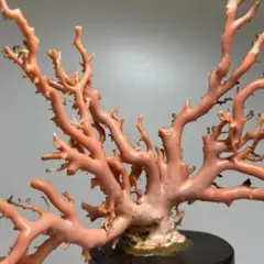 Item thumbnail for item a4e1226d-2bf7-4b71-b36c-2b49ff396e70