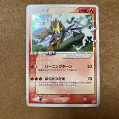 エンテイ　スター　美品