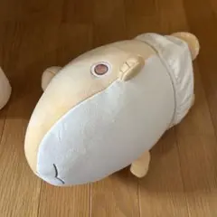 ベビーましゅもっち　お出かけ子ザメ　うさぎぬいぐるみ