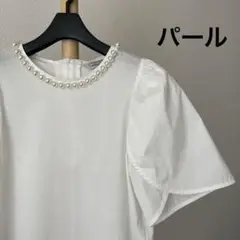 極美品 TORRAZZO DONNA パールチューリップスリーブトップス