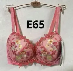 ワコール レシアージュ E65 PB2920 カラー…OR