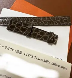 Item thumbnail for item dd18f1df-28ad-4578-bc68-c8c0fdd2e420