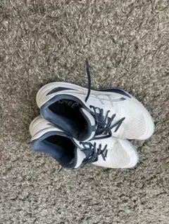 Item thumbnail for item fe6d64ec-7f72-4748-bdf7-9af1126883db