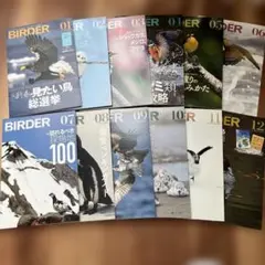 BIRDER 2022年1〜12月号 12冊 文一総合出版
