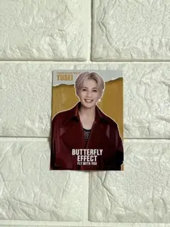 FANTASTICS BUTTERFLY トレカ シクレ 八木勇征