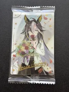 ウマ娘 ツインウエハース Special R2025 Dレア ドリームジャーニー