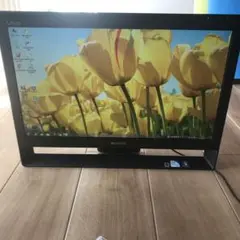 2010 VAIOSONY 19インチ PCモニター PCG-1121N