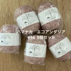 ハマナカ　エコアンダリア #54 5個セット