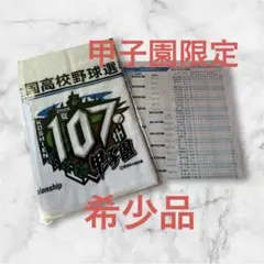 【甲子園限定品】2025甲子園高校野球選手権大会タオルと甲子園会場限定別刷り新聞