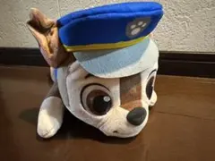 パウ・パトロール KAWAIIねころびBIGぬいぐるみ チェイス