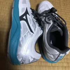 テニスシューズ/オールコート/ブレイクショット/24．5cm/WHT/