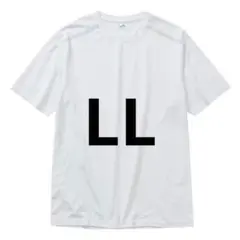 ワークマン 氷撃冷感 －10℃ 半袖Tシャツ LL 新品