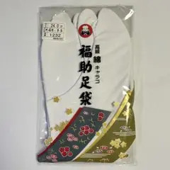 Item thumbnail for item 08810a90-9506-4c70-bad5-3d38d1a8d96d