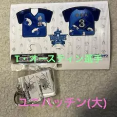 さ*る様 【本人着用】タイラーオースティン ユニフォーム サイン入り 2025年最新】オースティン ユニフォームの人気アイテム - メルカリ