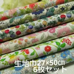 SS-81生地 ハギレ カットクロス花柄綿生地 27×50cm 6枚セット