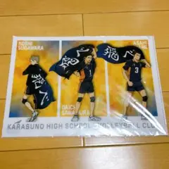 【新品未開封】ハイキュー!! クリアファイル 横断幕 澤村 東峰 菅原 『飛べ』