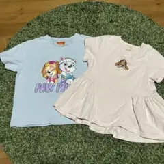 パウパトロール　Tシャツ