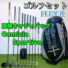 ゴルフクラブ 初心者セット 高級キャディバッグ かんたん やさしい 入門