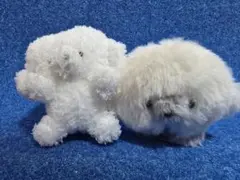 Item thumbnail for item 12f8c4cb-ba78-4326-82fe-759b49c68dc0