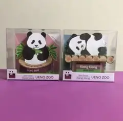 恩賜上野動物園*シャンシャン スタンドメモセット