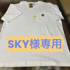 carhartt Tシャツ